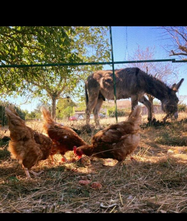 Photo of Others in Bouge-Chambalud