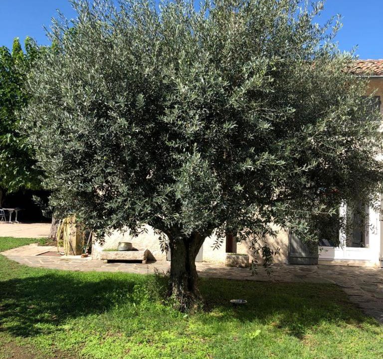 Photo of Others in Bouge-Chambalud