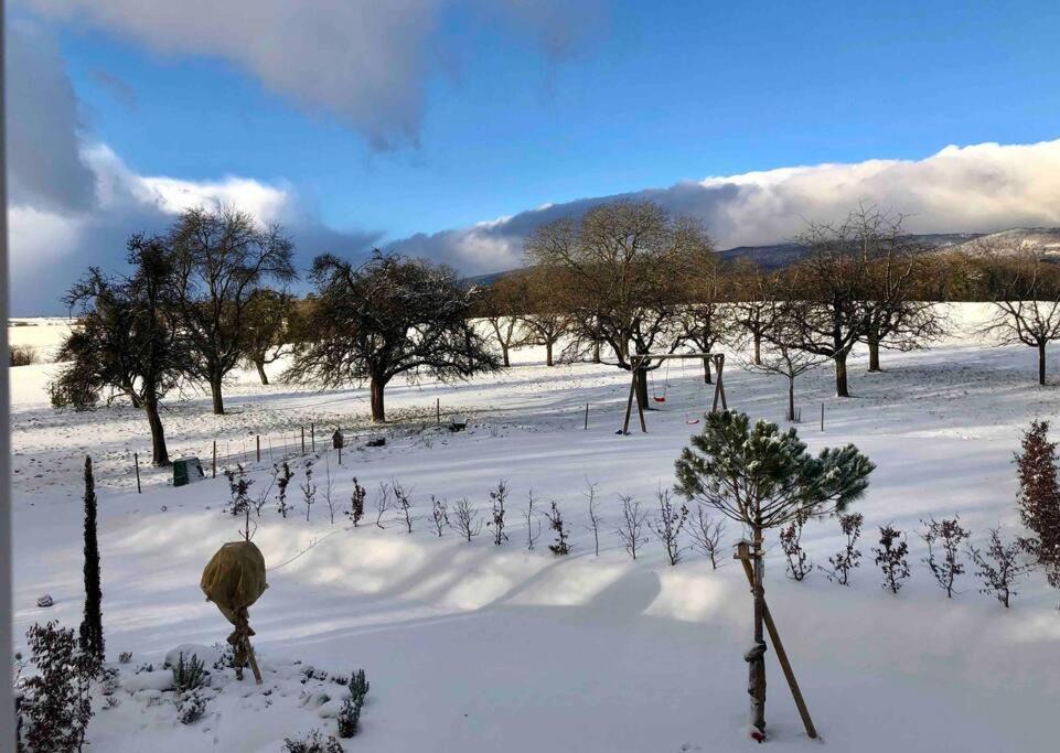 Photo of Outdoor in Chavannes-le-Veyron