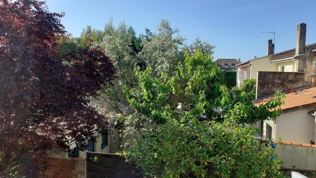 Photo of Others in Begles