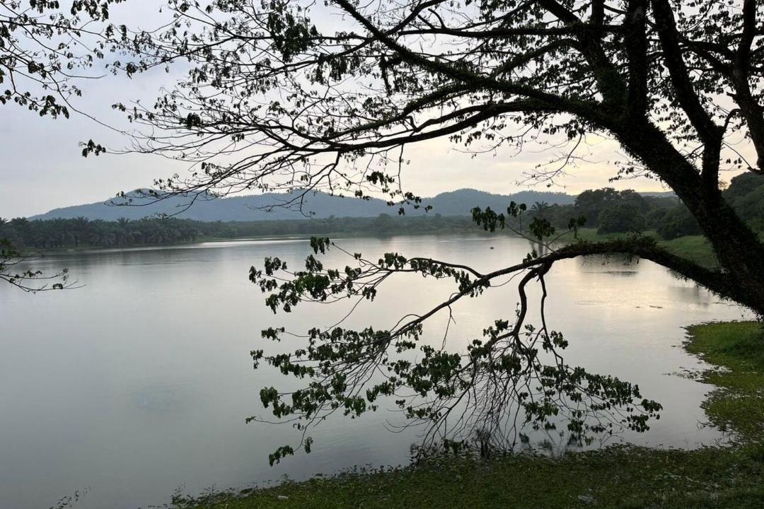 Photo of Others in Slim River