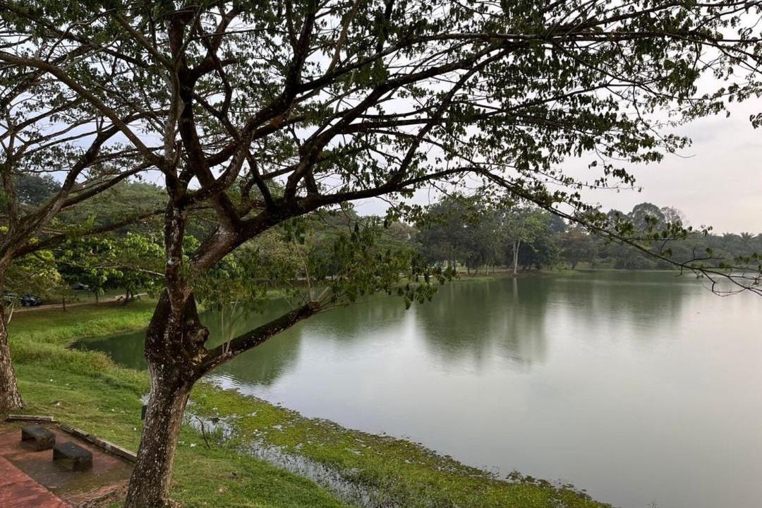 Photo of Others in Slim River