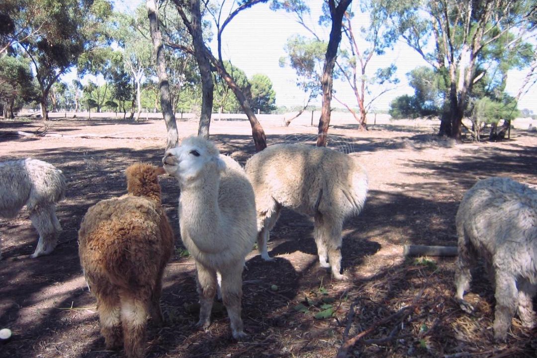 Photo of Others in Whites Valley