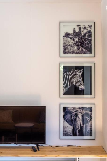 Photo of Livingroom in Centre ville - Urbanistes