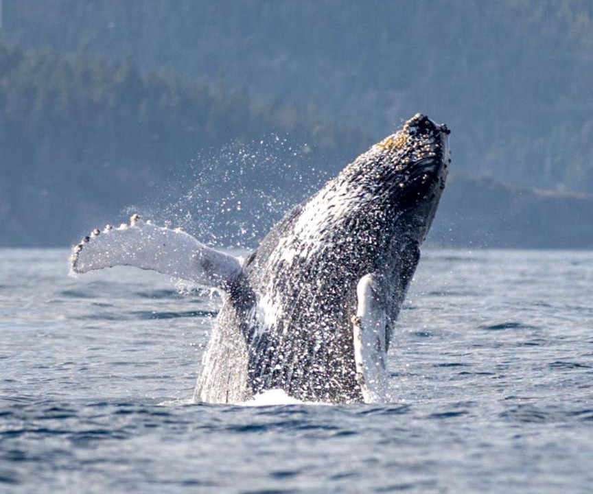 Photo of Others in Saint Michaels