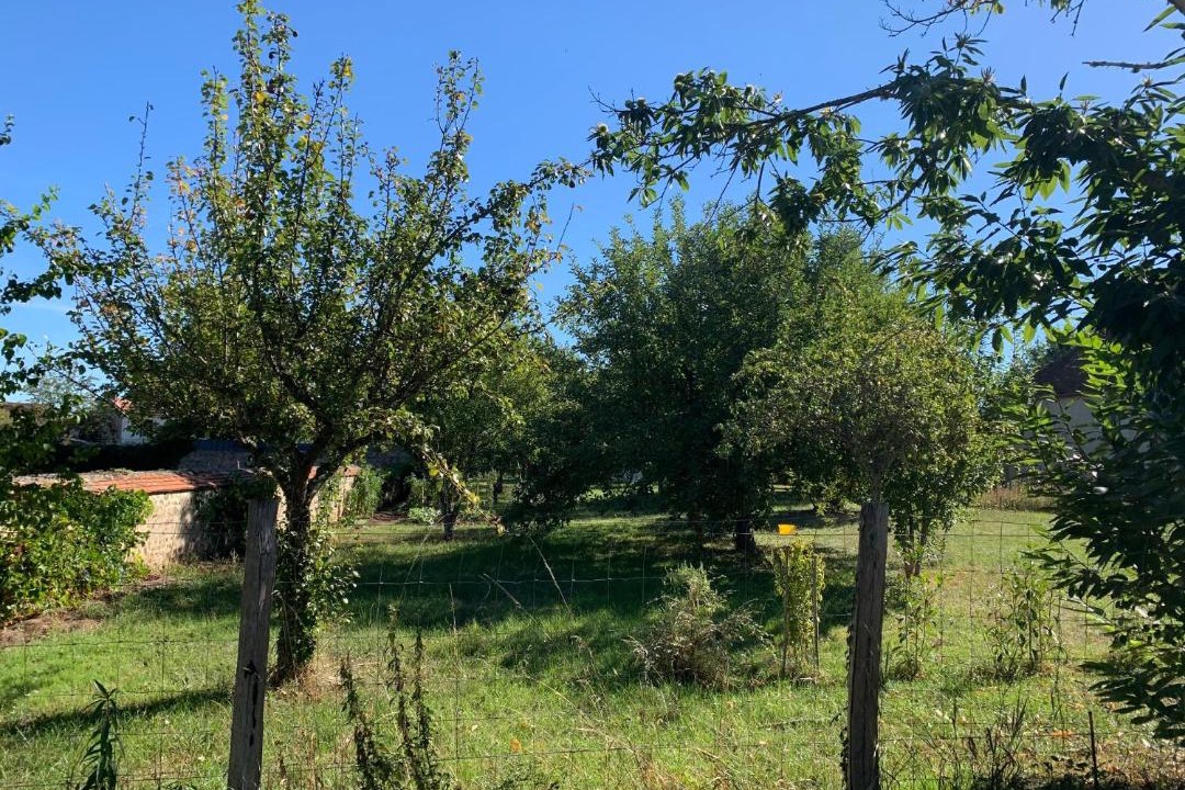 Photo of Outdoor in Huriel