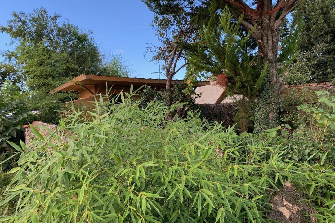 Photo of Others in Huriel