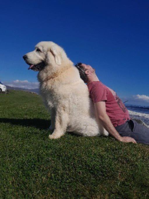 Photo of Others in Hunspow