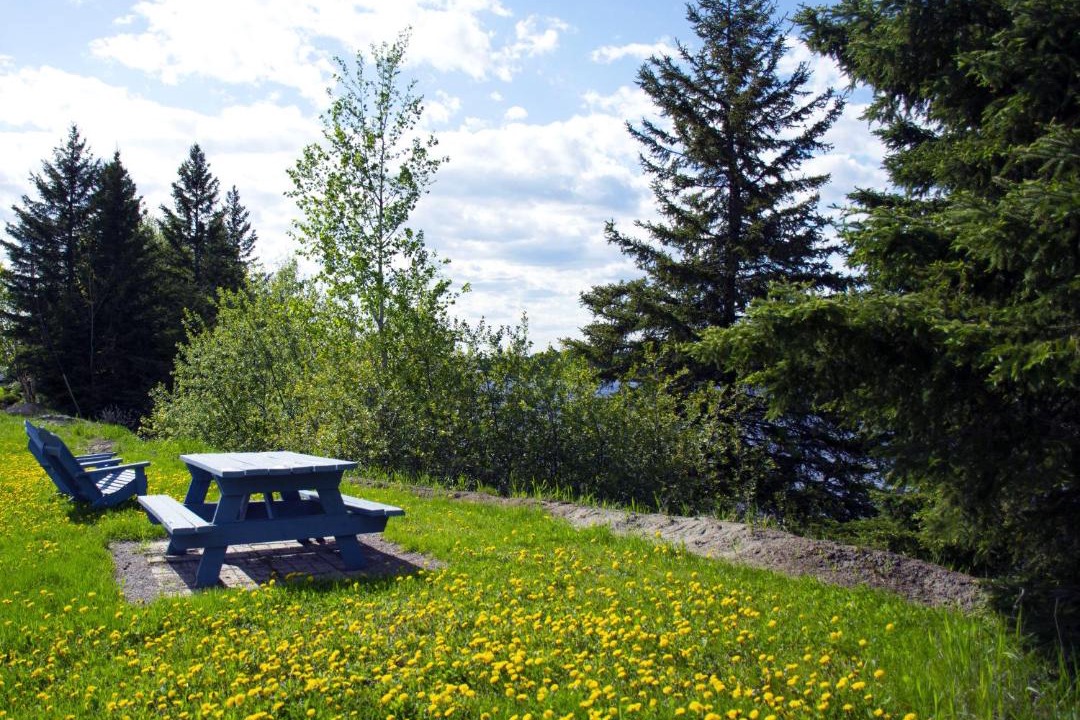 Photo of Others in St. Felicien