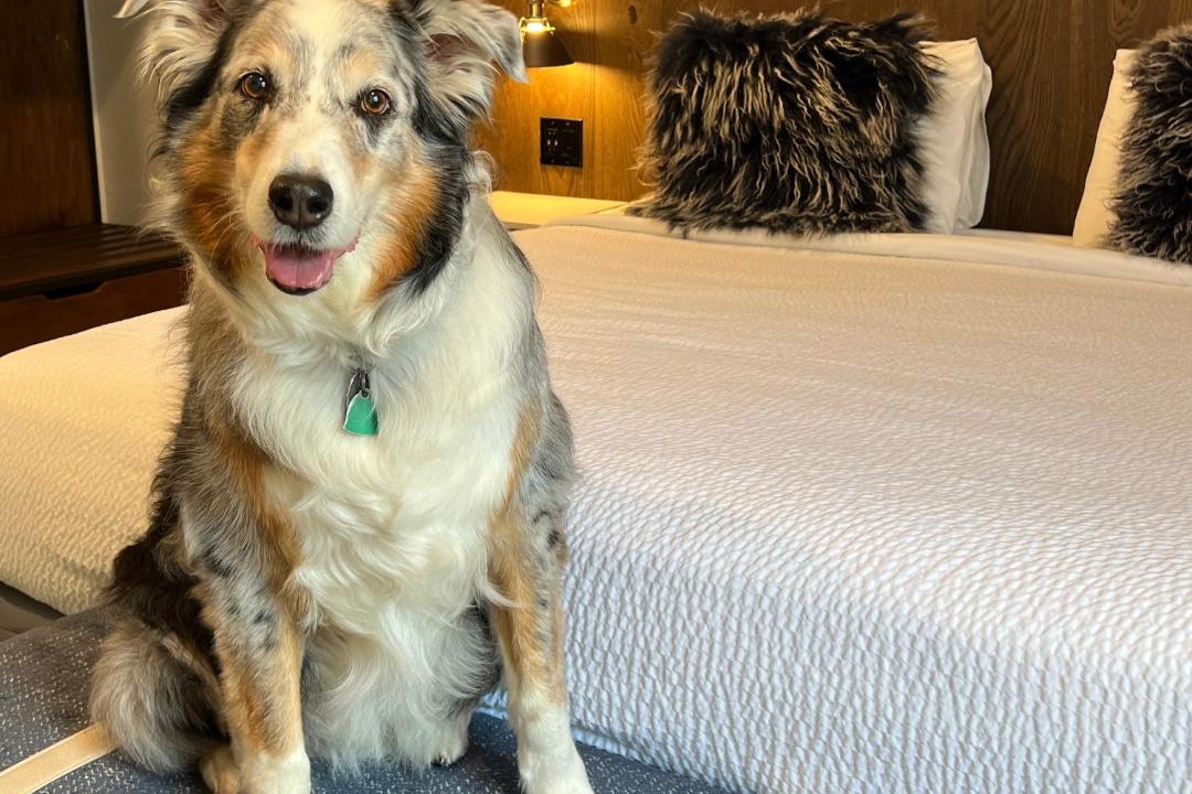 Photo of Others in Long Beach