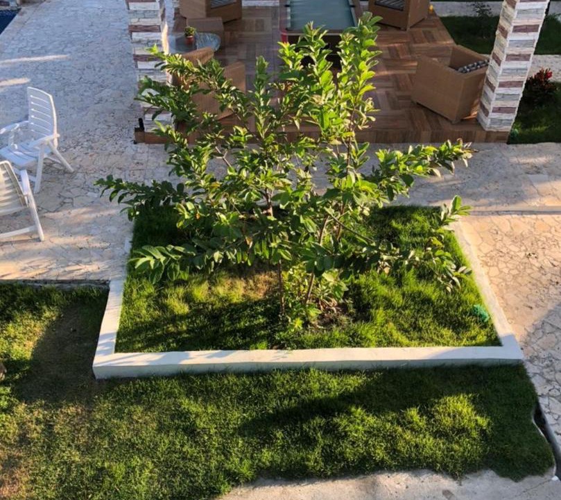 Photo of Others in Nizao