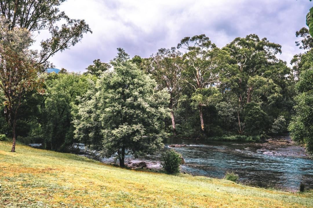 Photo of Others in Eildon