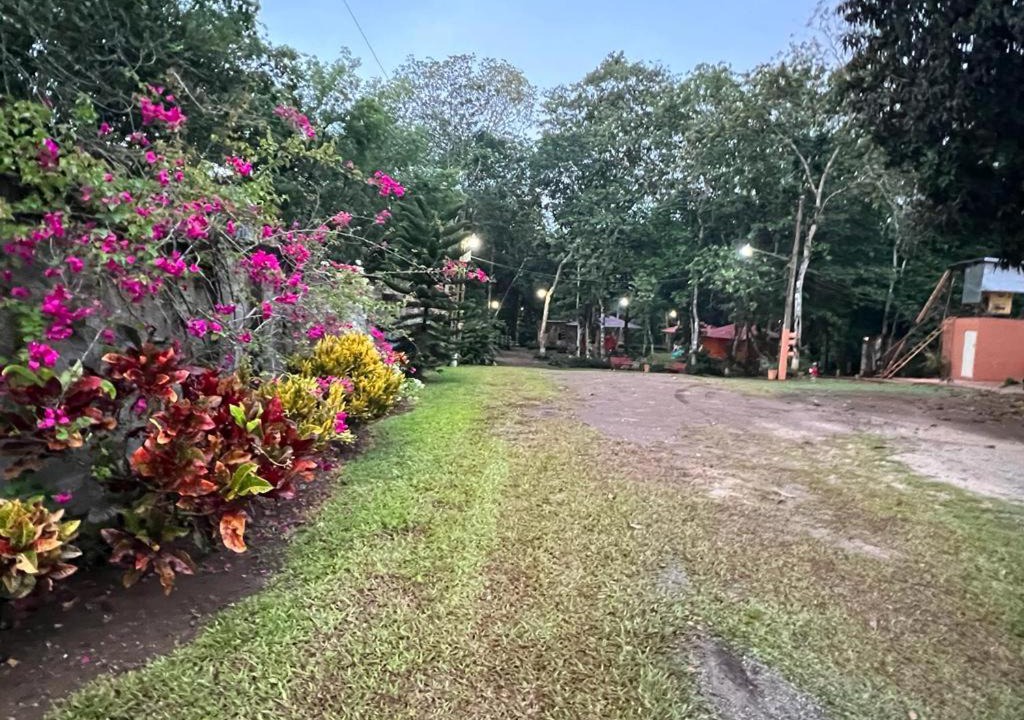 Photo of Others in Bayaguana