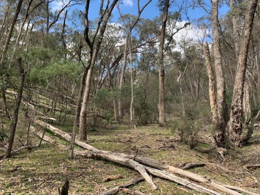 Photo of Others in Carcalgong