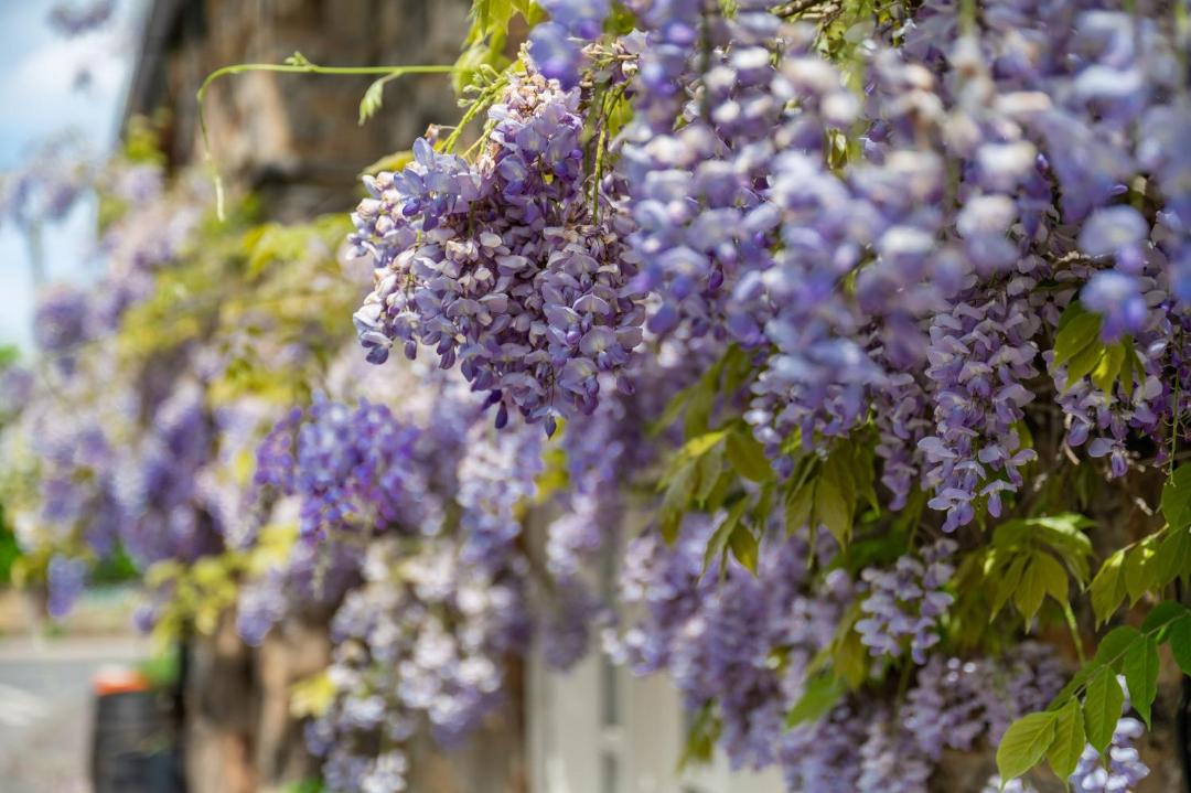 Photo of Others in Cawthorne