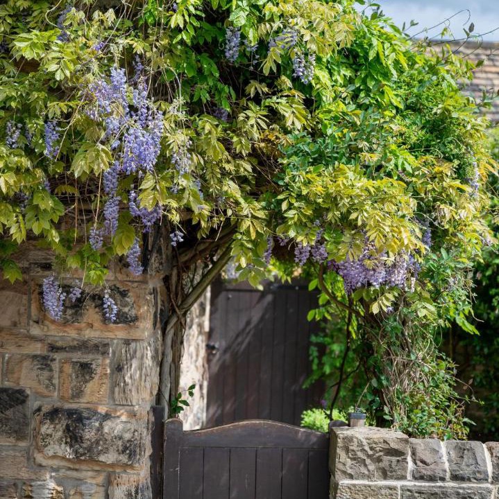 Photo of Others in Cawthorne