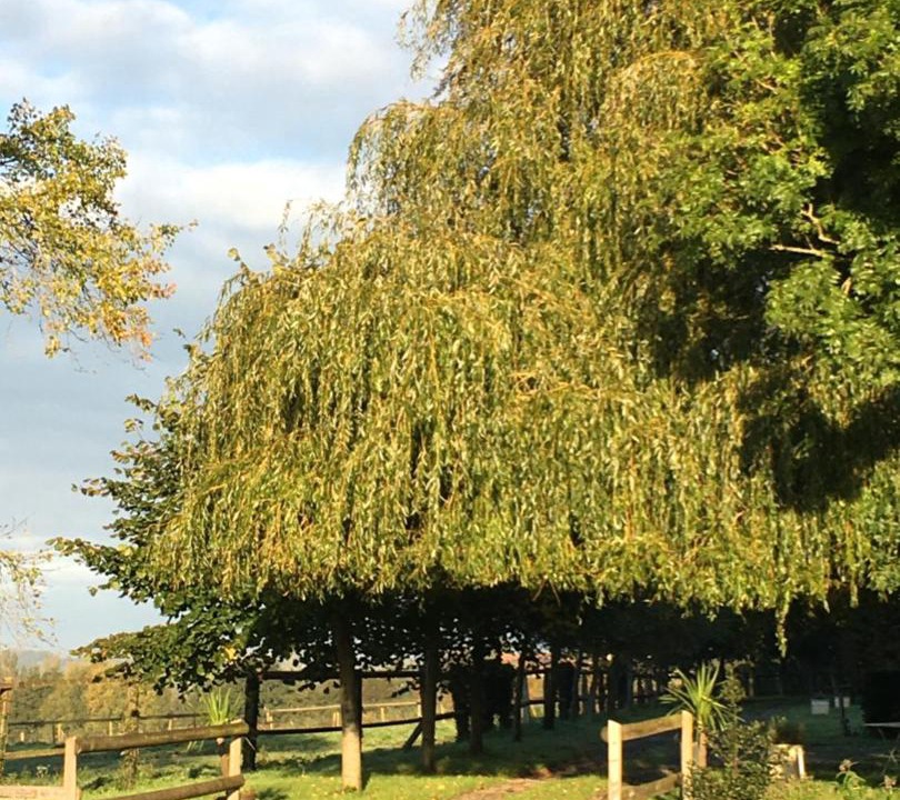 Photo of Others in Hesdin-l'Abbe