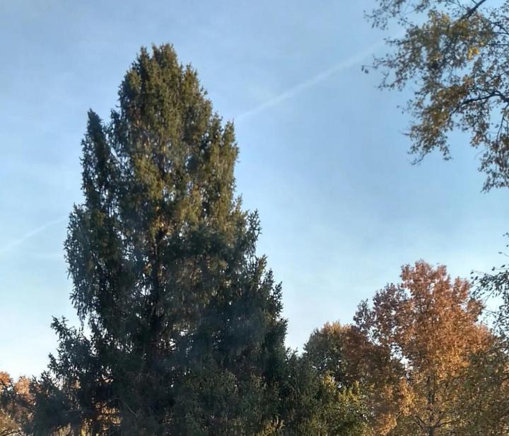 Photo of Others in Bel-Ridge