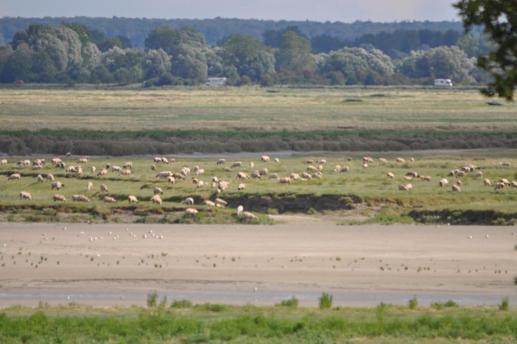 Photo of Outdoor in Saint-Valery-sur-Somme