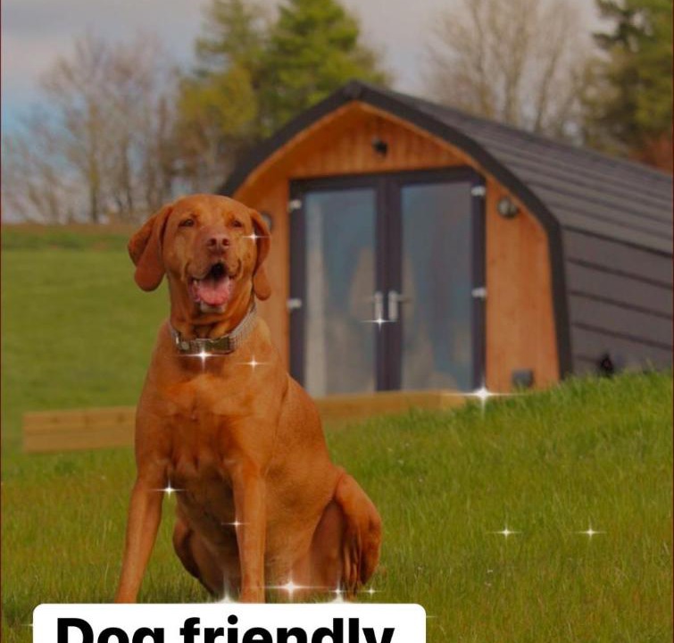 Photo of Buildings in Bathgate
