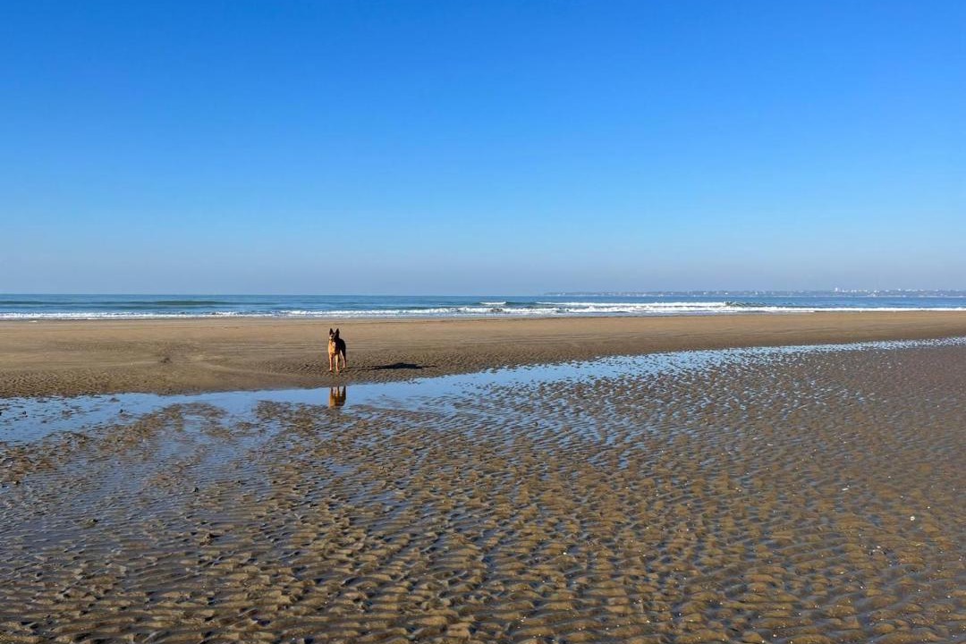 Photo of Others in Saint-Brevin-l'Ocean