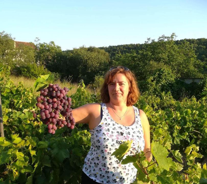 Photo of Others in Skradin