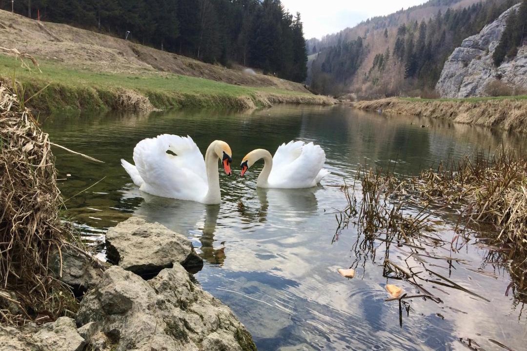 Photo of Others in Grand'Combe-Chateleu