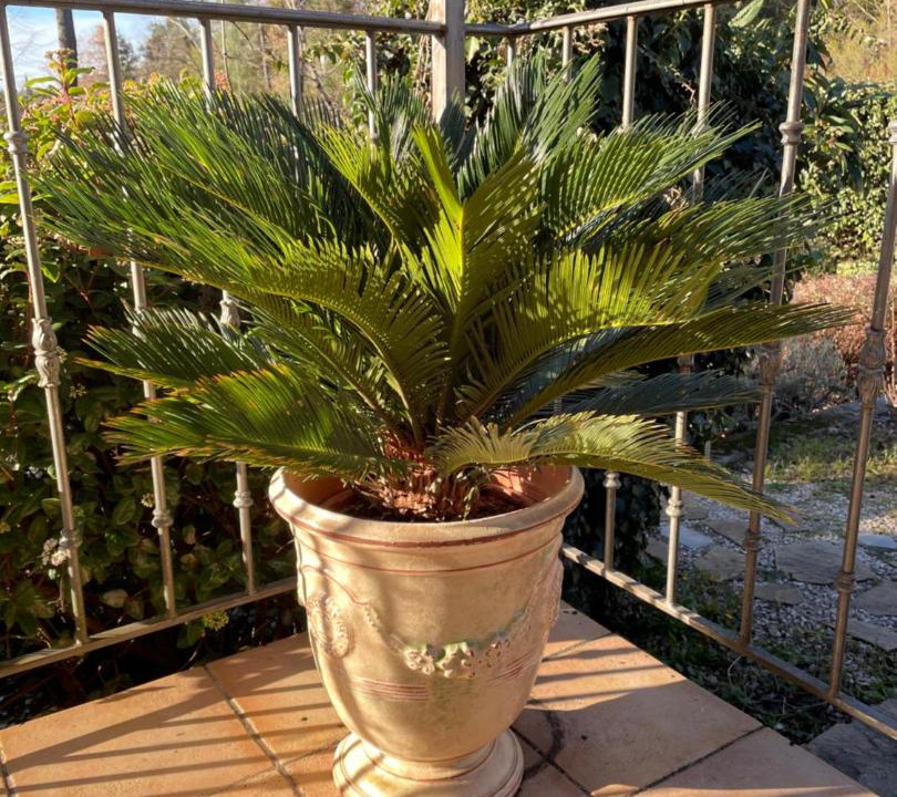 Photo of Others in Generargues