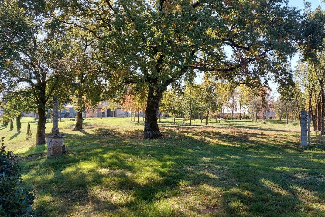 Photo of Others in Lombers