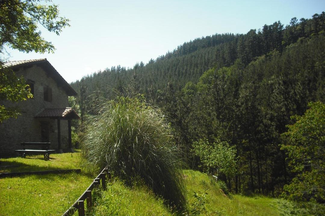Photo of Others in Azkoitia