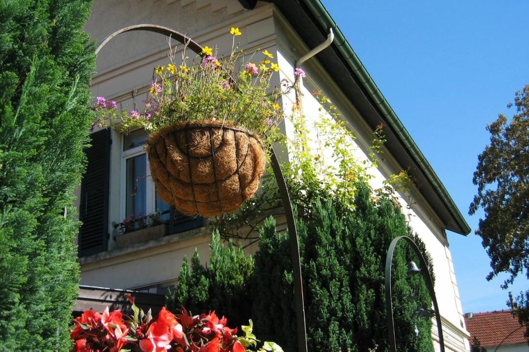 Photo of Others in Orry-la-Ville