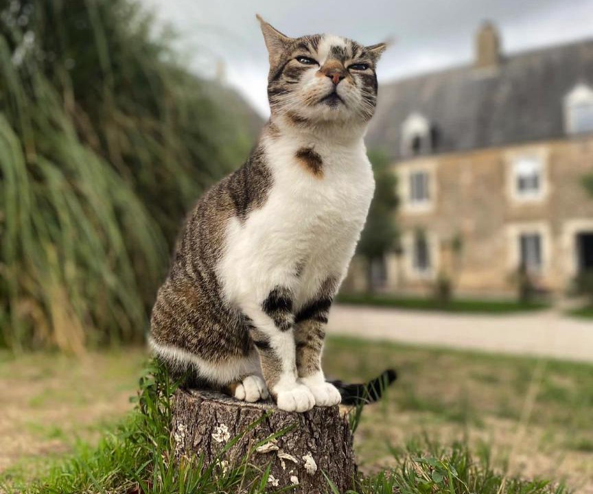 Photo of Others in Les Veys