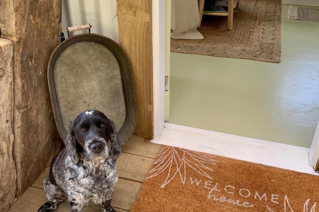 Photo of Others in Houhora