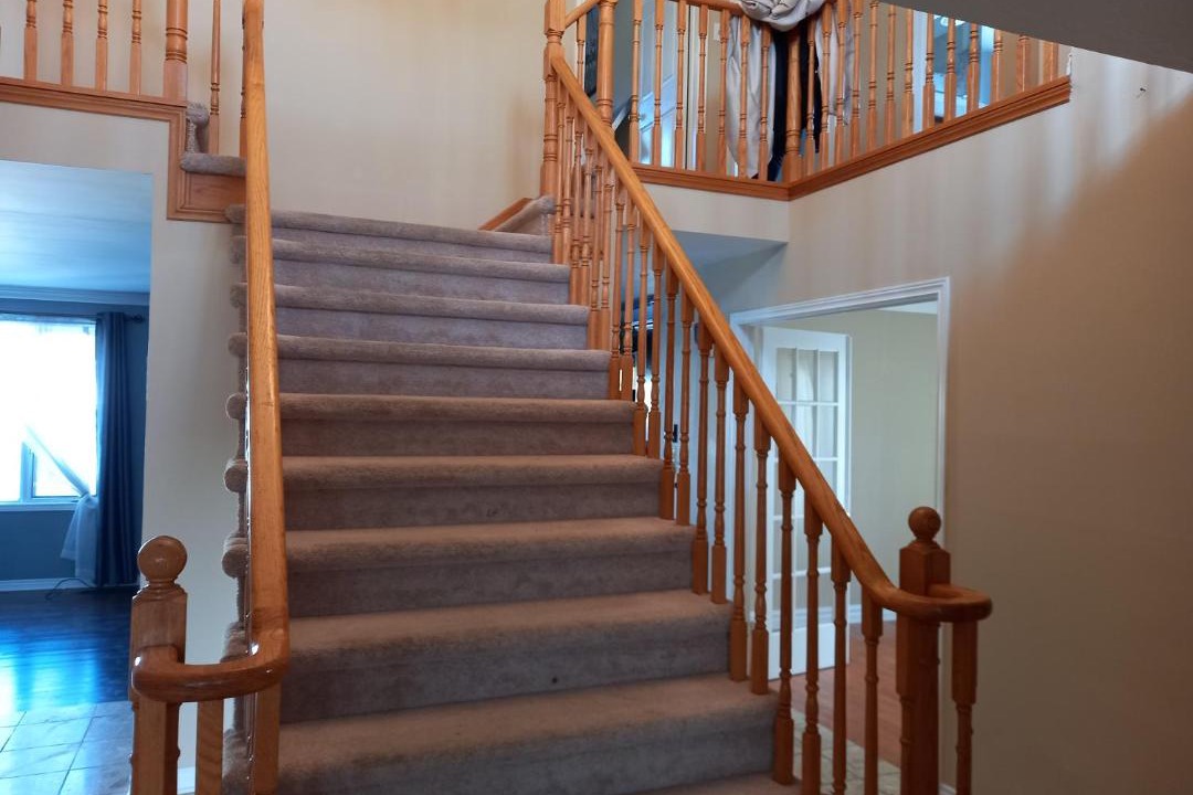 Photo of Others in Kingston