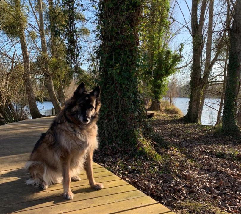 Photo of Others in Itteville