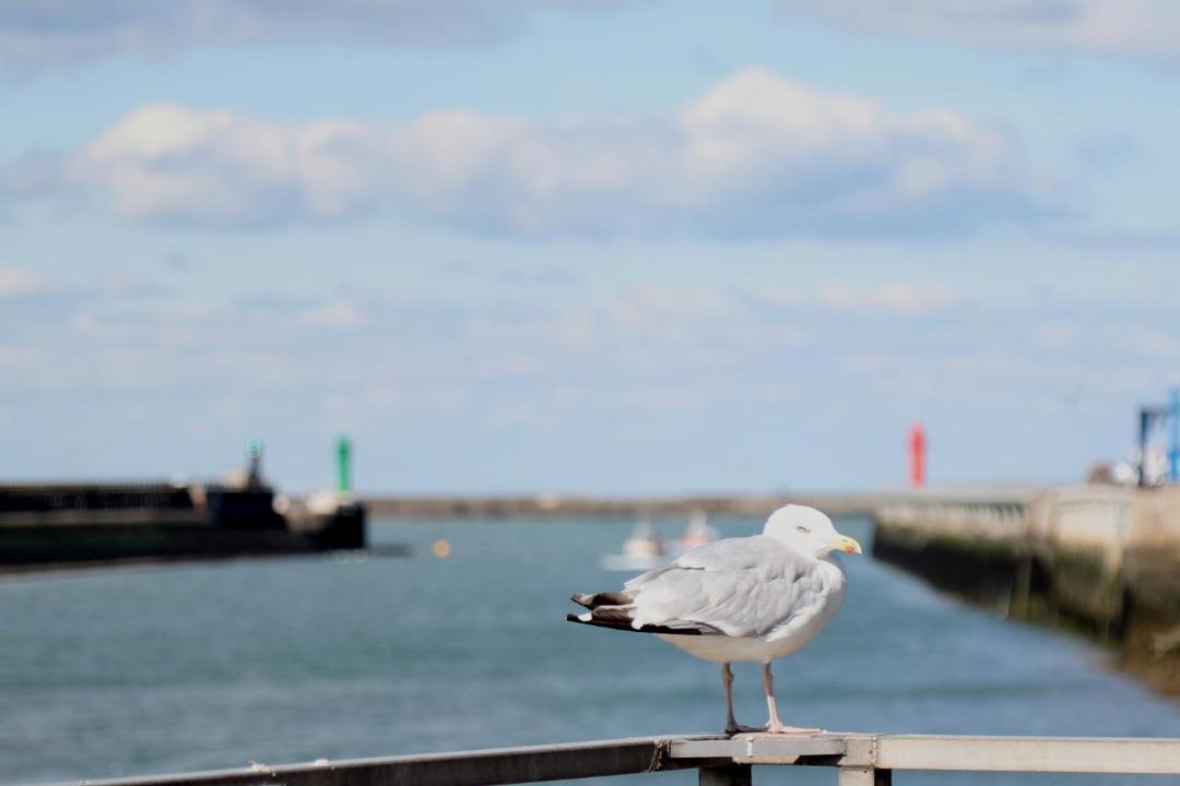 Photo of Others in Boulogne-sur-Mer