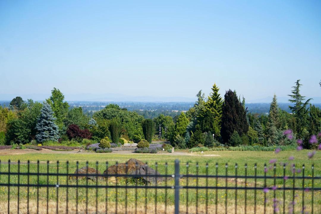 Photo of Others in Silverton