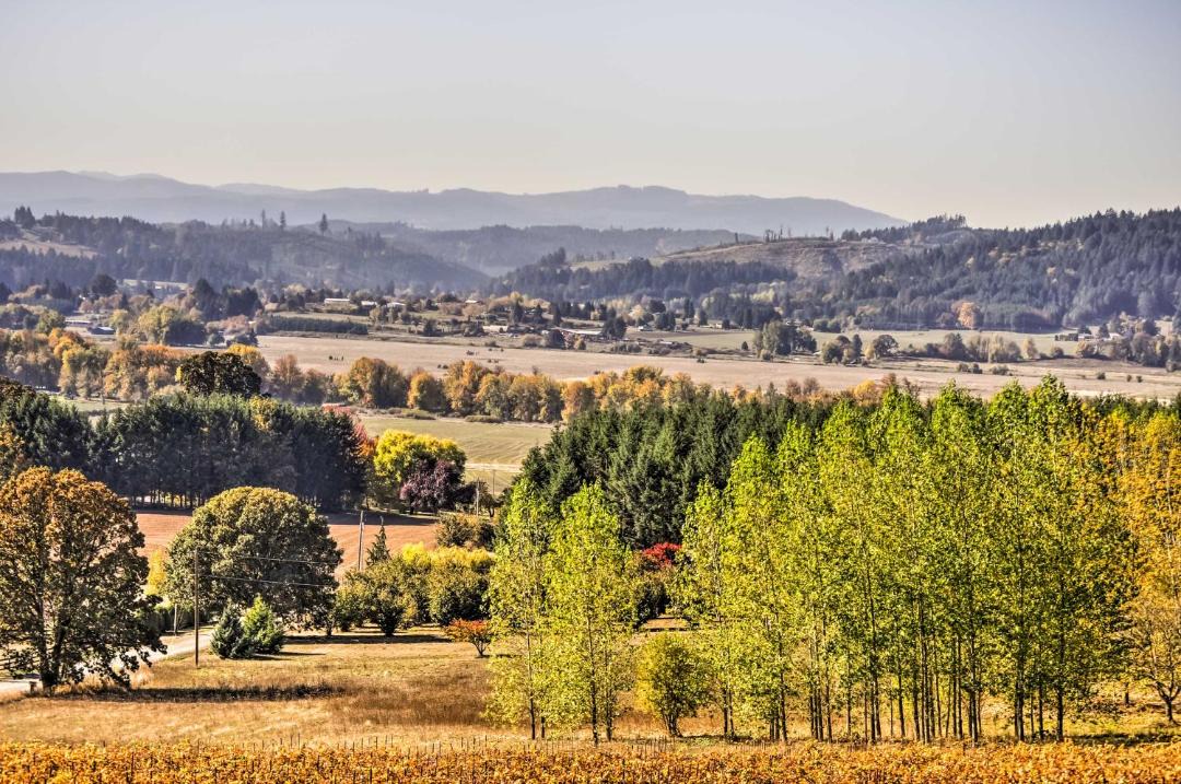 Photo of Others in Gaston