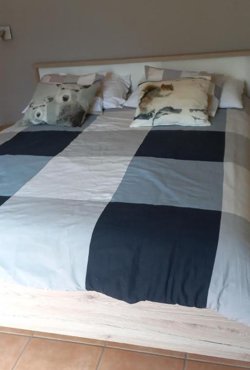 Photo of Bedroom in Foroglio