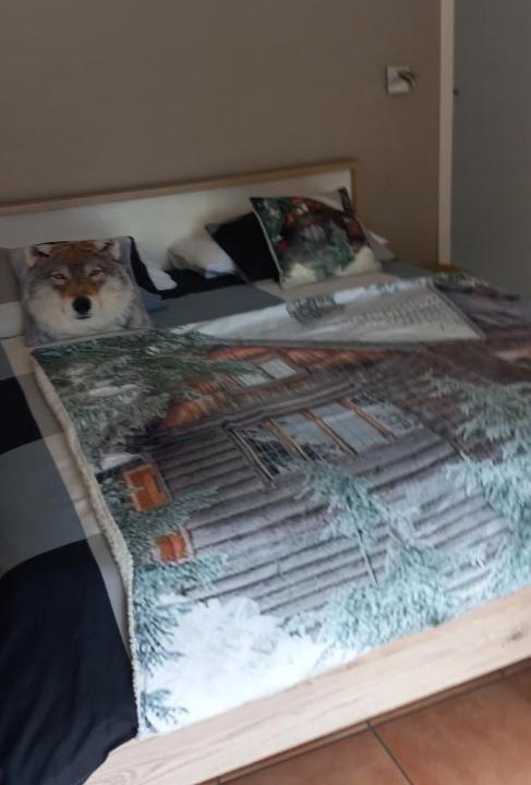 Photo of Bedroom in Foroglio