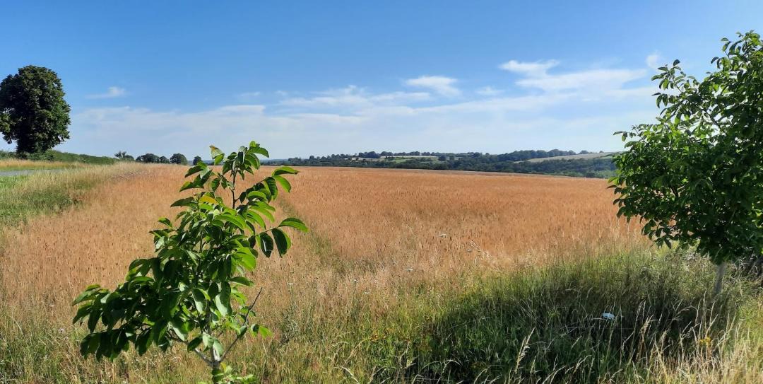 Photo of Others in Preveranges