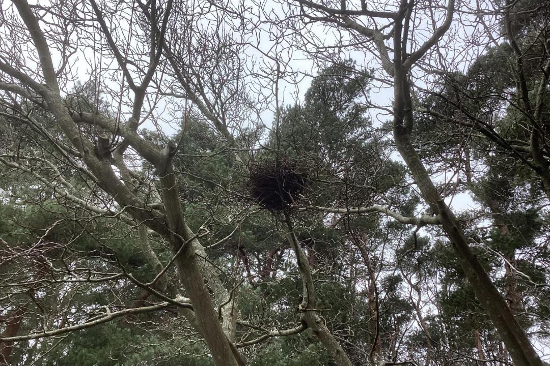 Photo of Others in St Leonards