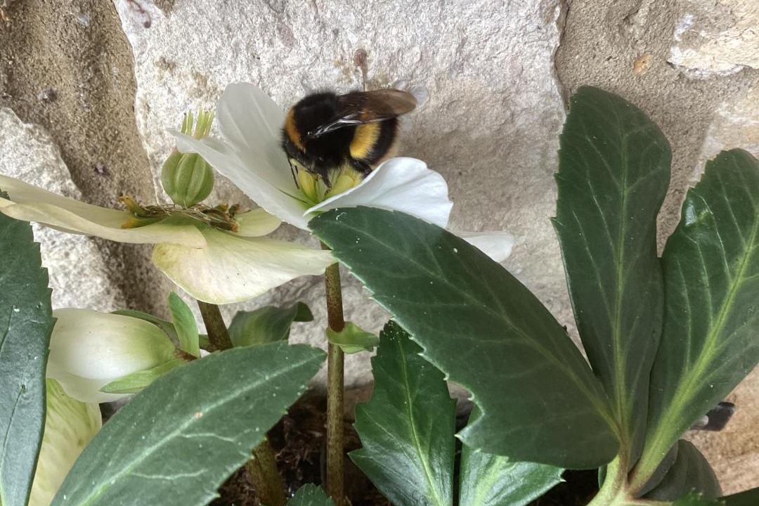 Photo of Bedroom in St Leonards