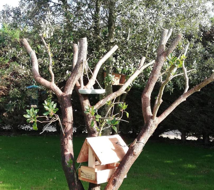 Photo of Others in Ruffec