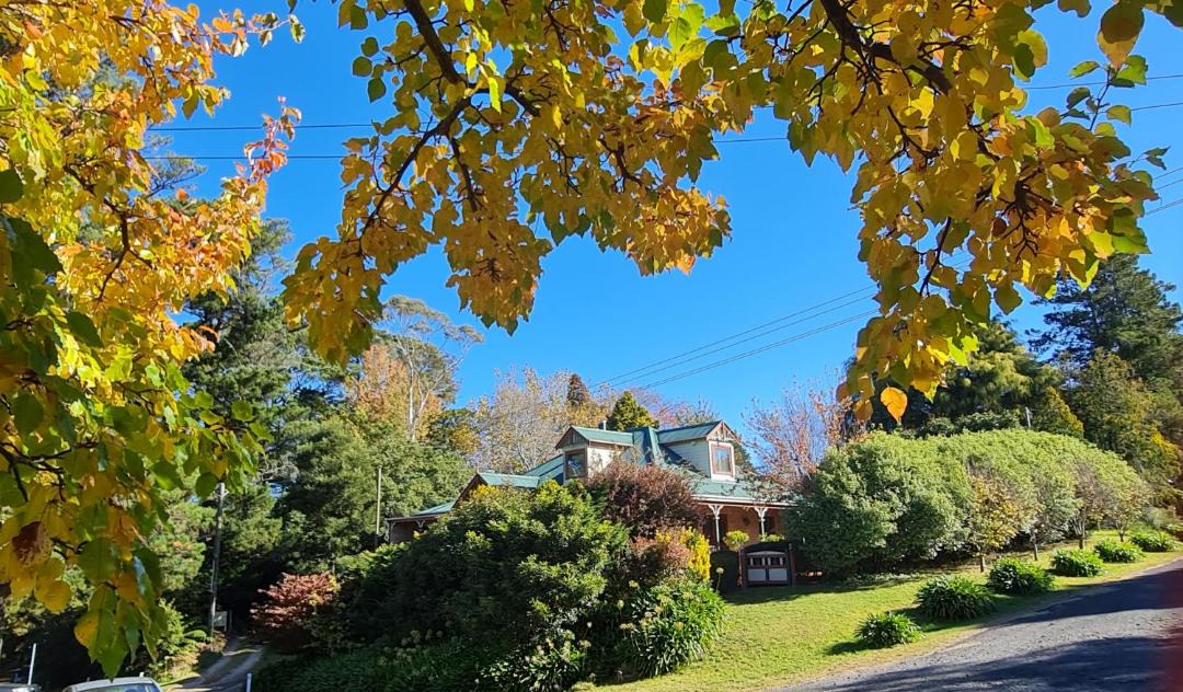 Photo of Others in Katoomba