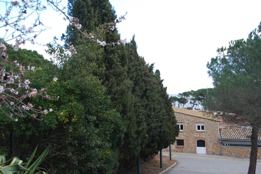 Photo of Others in L'Escala