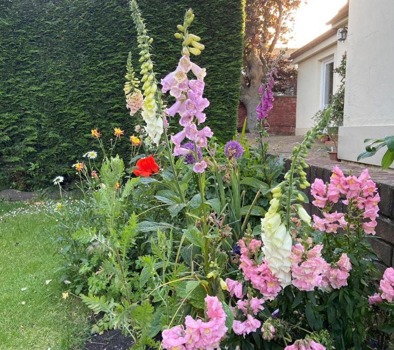 Photo of Buildings in Joppa