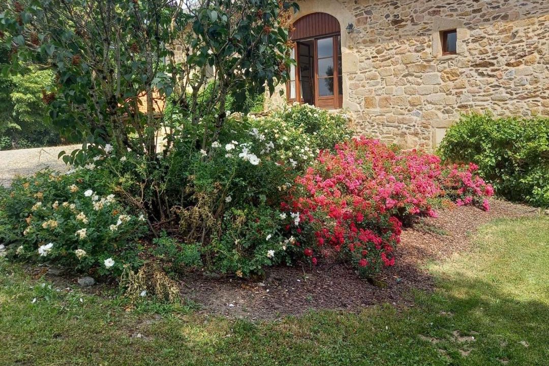 Photo of Outdoor in Labastide-du-Haut-Mont