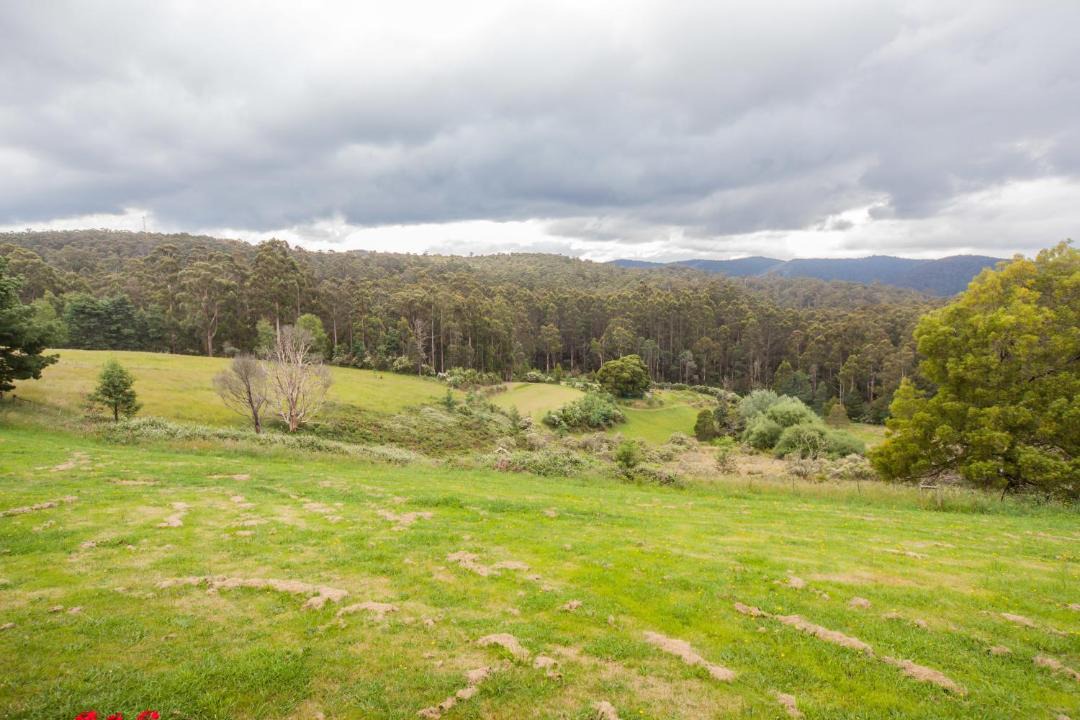 Photo of Others in Rawson