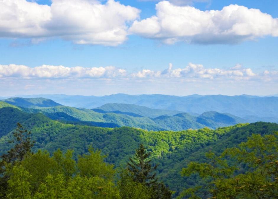 Photo of Others in Dandridge